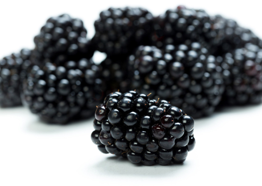 Blackberries Pictures 4K